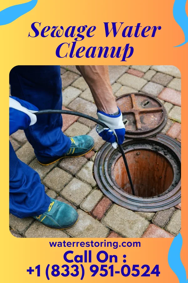 Sewage Water Cleanup in Stanley, IA